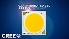 Cree XLamp CXA LED Arrays Product Family Overview
