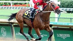 Letruska among 5 of the best horses to win in Mexico | TwinSpires