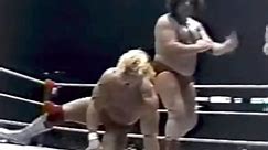 On March 21, 1981 WWF Wrestling from The Spectrum aired on the PRISM network. Take a look back as “The Incredible” Hulk Hogan takes on Andre the Giant. The event drew 17,678 fans at The Spectrum despite taking place during a 19-day transit strike that halted buses, trolleys and subway trains for some 400,000 Philadelphia commuters. | Davenport Sports Network