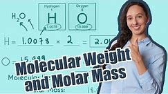 How To Calculate Molecular Weight and Molar Mass!