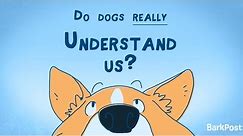 Do Dogs Really Understand Us? | INSIDE A DOG'S BRAIN