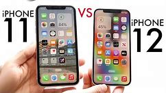 iPhone 12 Vs iPhone 11 In 2024! (Comparison) (Review)
