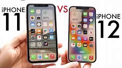iPhone 12 Vs iPhone 11 In 2024! (Comparison) (Review)