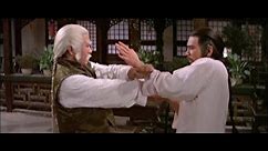 Top 10 Kung Fu Movies (1980)