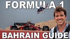 A-Z GUIDE to the BAHRAIN F1 GRAND PRIX
