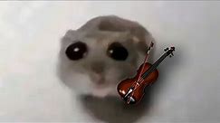Sad Hamster Meme Violin 1 HOUR
