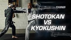 Karate Combat: GSP and Bas breakdown different Karate Styles