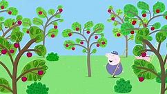 Peppa Pig - The Blackberry Bush | S3E46
