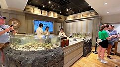 EPCOT'S Japan Pavilion Pick a Pearl Reopens After 3 Years | Chip and Company