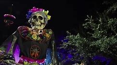Celebrate Día de Los Muertos at Hemisfair in San Antonio