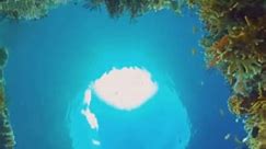 Snorkeling in Coron: Explore the underwater paradise of sunken Japanese warships and vibrant coral reefs. #CoronSnorkeling #UnderwaterExploration #SunkenWarships #CoralReefs #MarineLife #AdventureTravel #PhilippinesTravel #ExploreTheUnknown #SnorkelParadise | GeoTime Tales