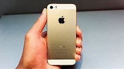 Gold Apple iPhone 5s: Hands On!