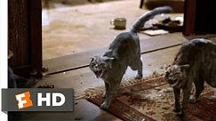 Let the Right One In (8/12) Movie CLIP - Killer Cats (2008) HD