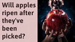 Will apples ripen after they've been picked?