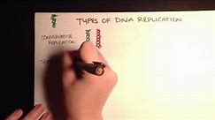 Types of DNA replication