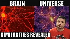 Structure Of The Brain VS. The Universe - Actual Similarities Found