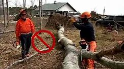 STIHL Chainsaw Safety, Operation & Maintenance