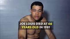 The life and career of boxing legend Joe Louis