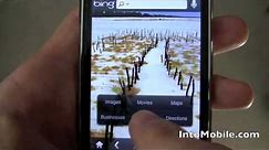 Bing iPhone app demo