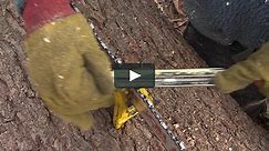 Chainsaw Sharpening - The Art & Science of Sawchain Sharpening