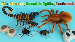 Scorpion, Tarantula Spider And Crawling Cockroach - Remote Control RC | Unboxing & Review