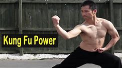 The Power of Kung Fu Wushu !