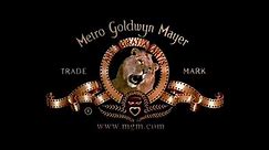 Metro-Goldwyn-Mayer (2003)
