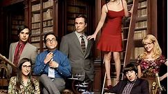 The Big Bang Theory: Season 9 Episode 8 The Mystery Date Observation