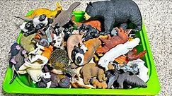 90 Wild Animals, Farm Animals and Zoo Animals Collection