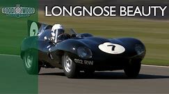 Amazing Jaguar D-Type Longnose shines in the Goodwood sunshine