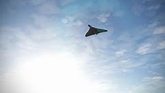 This Avro Vulcan Flyover is crazy!