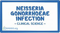 Neisseria gonorrhoeae infection: Clinical sciences - Osmosis Video Library