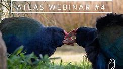 Atlas Webinar #4 - Planning your Atlasing