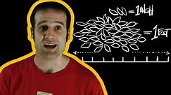 A Guide to Imperial Measurements with Matt Parker | Earth Science