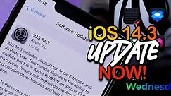 Update To iOS 14.3 NOW! Jailbreak OTA Method - No Computer Guide