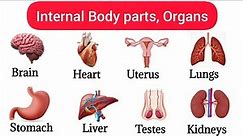 40 Basic Parts Of Body | Internal Organs | Listen And Practice| Internal Body Parts#bodyparts