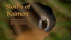 Excavators, Climbers, and Marine Pioneers: Sloths of Kaimere | Sci-Fi Worldbuilding