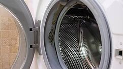 How To Remove Mold From Rubber Seal On Washing Machine - Alpha Building Inspections