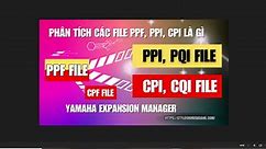 PPF, CPF, CPI, CQI, PPI, PQI File... - Style For Musician