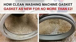 How to clean and remove 100% mould from washing machine door seal gasket