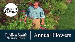 Growing Annual Flowers & Plants | Garden Home (712)