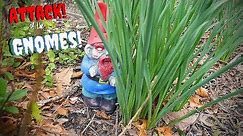 Attack of the Creepy Yard Gnomes!
