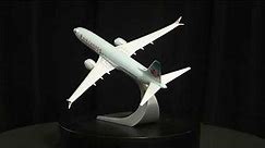Lot 540 - Boeing 737 Pacmin 1:100 Scale Display Model Airplane