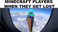 Minecraft Memes In Real Life