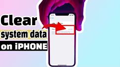 Clear System DATA Storage On iPhone & iPad