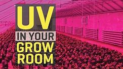 Is UV missing from your grow room?