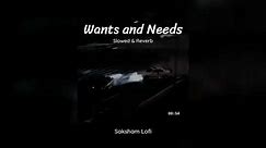 Wants and Needs - Prabh (Slowed & Reverb)