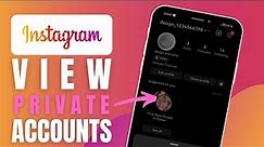 How To See Private Account On Instagram - Complete Guide