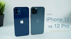 iPhone 12 vs 12 Pro | In Depth Review (vs 11 + 11 Pro)