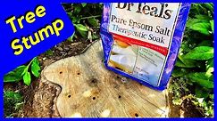 Tree Stump Removal with Epsom Salt - Does it Work? (Experiment)